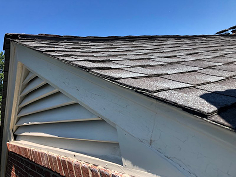 Gable Vent Screening Maryland Before