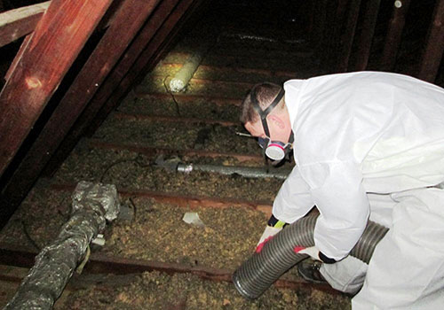 Attic Insulation Cleanup MD
