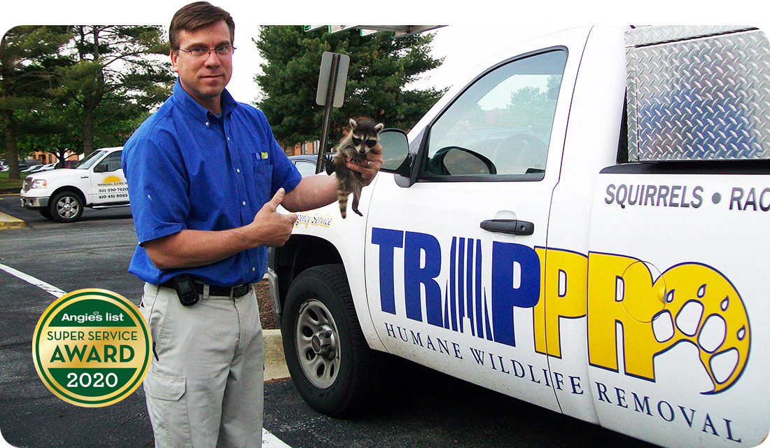 Trappro Wildlife Removal MD DC VA